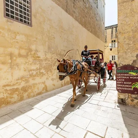 Nyaraló Historical Gem, Lux With Rooftop Pool By 360 Estates Mdina